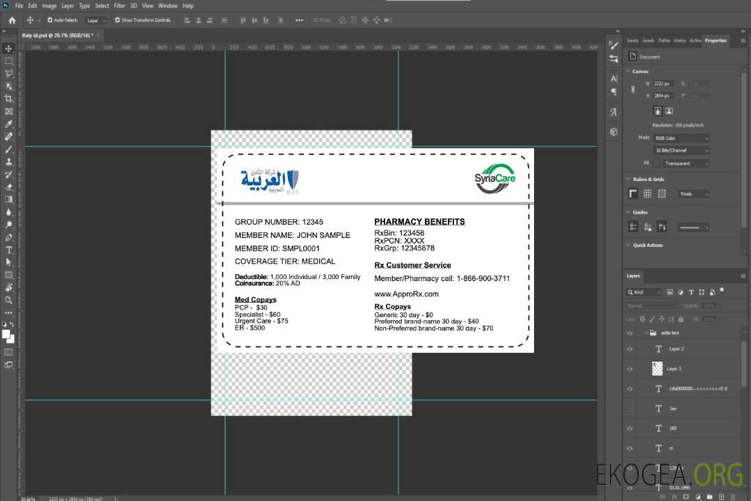 Carte d'assurance maladie syrienne template